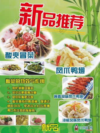 绿色竹林风餐饮海报