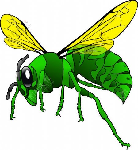 绿色大黄蜂的剪辑艺术