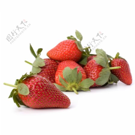 草莓的图片
