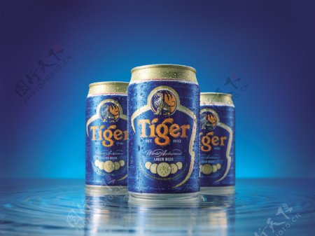 tiger啤酒图片