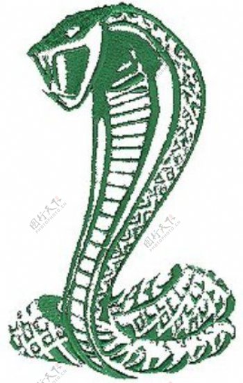 绣花动物蛇色彩绿色免费素材