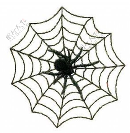 绣花动物蜘蛛织网安家免费素材