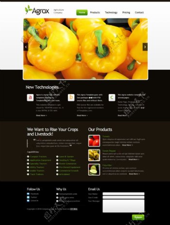 蔬菜类网站模板