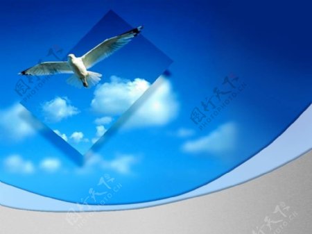 蓝色天空海鸥风景PPT模板
