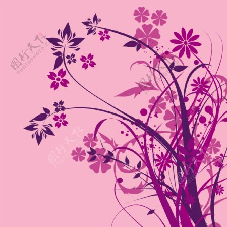 紫色时尚花卉剪影图片
