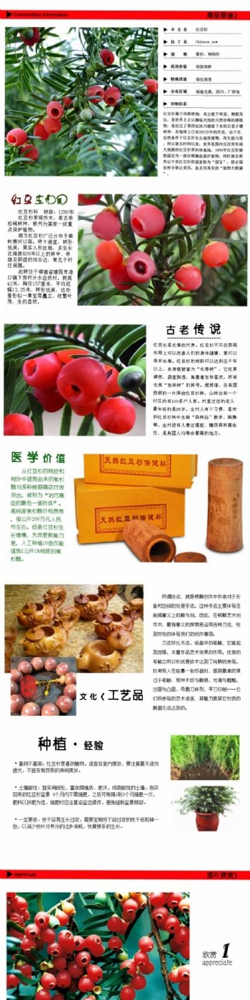 宝贝详情页