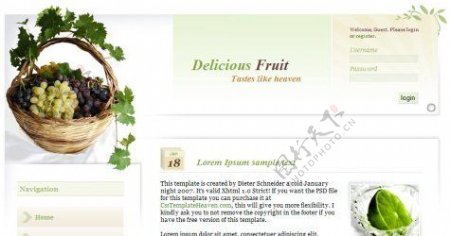 美味水果主题网站主页模板