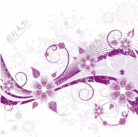 紫色花卉装饰矢量背景图