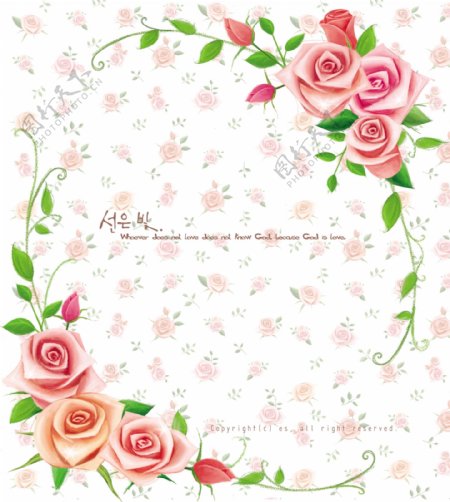 玫瑰花与藤蔓边框设计花卉背景图设计
