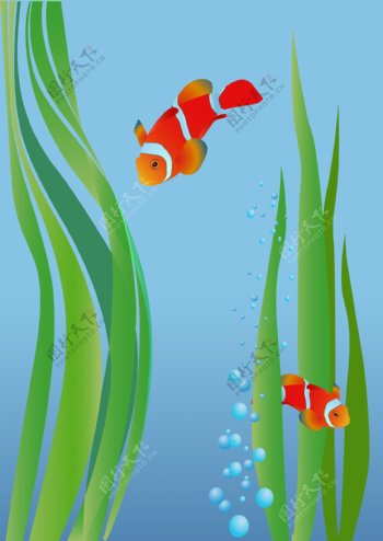 鱼类插图背景矢量素材1