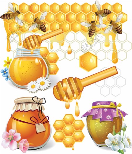 蜜蜂蜂蜜图片