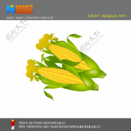 韩国矢量水果玉米图片