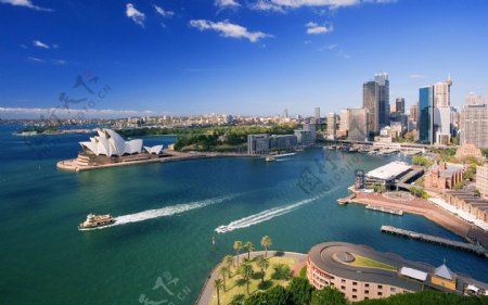 悉尼港口图片