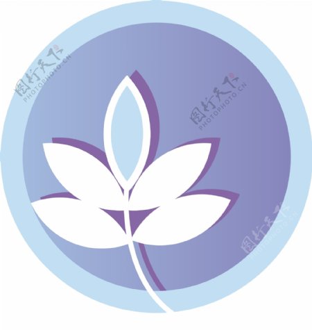 浅蓝色花卉图标
