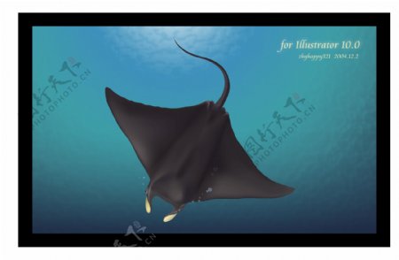 写实风格深海鳐鱼矢量素材