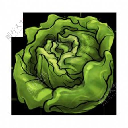 精美蔬菜图标图片
