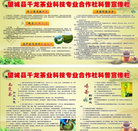 茶业科普宣传栏图片