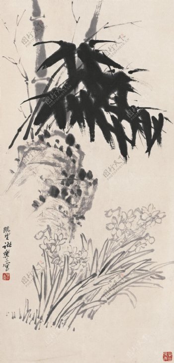竹水仙图片