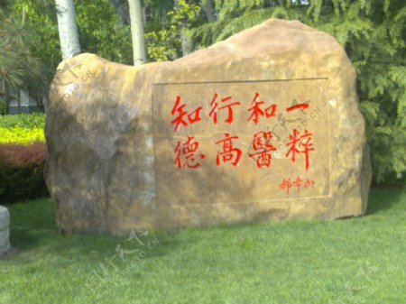 天津中医药大学图片