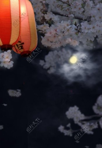 樱花灯夜景图片
