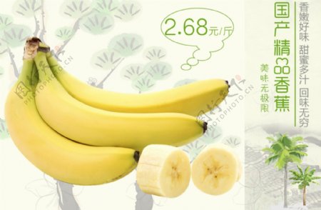 香蕉水果特价图片