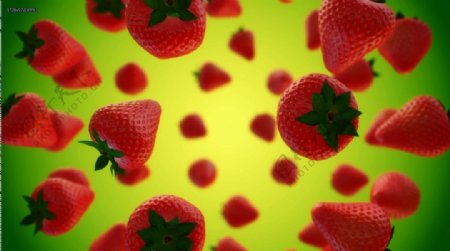 草莓高清视频素材1080p
