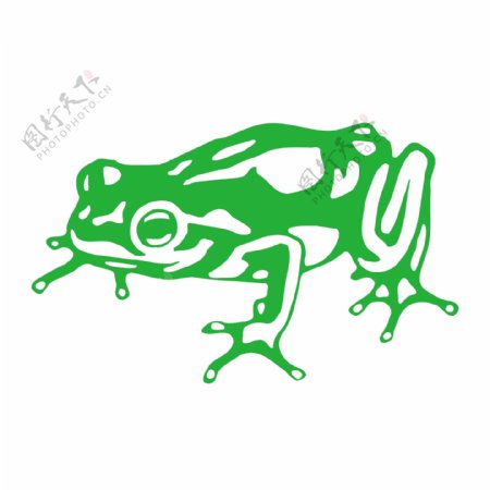 青蛙的设计