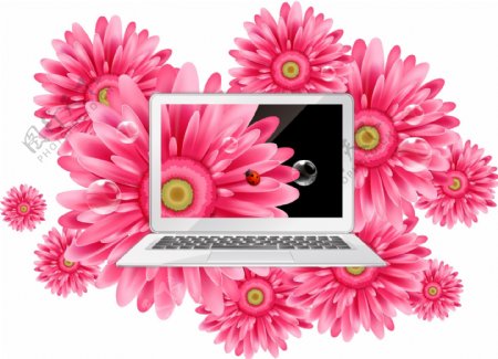 精美的雏菊与笔记本电脑