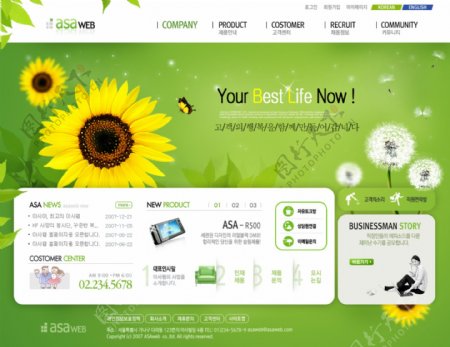 绿色背景界面psd网页模板