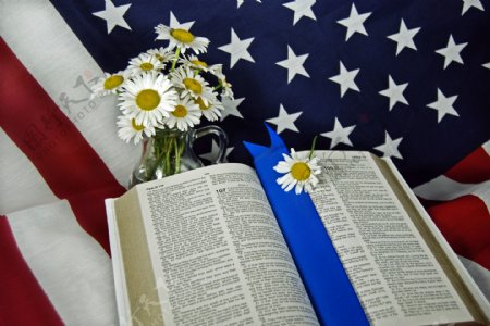 圣经美国国旗鲜花图片