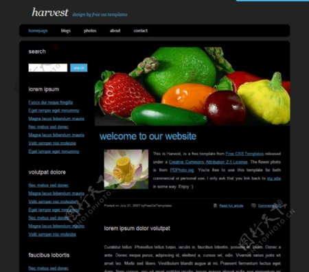 国外水果蔬菜网站模版