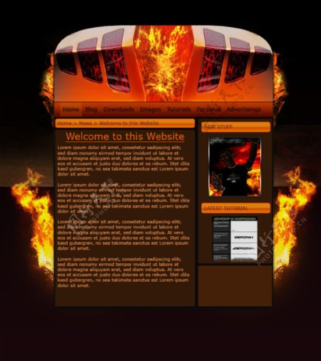 火爆网页模板图片