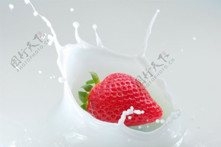 掉进牛奶的草莓