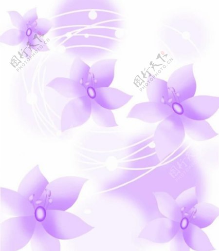 移门紫色花图片