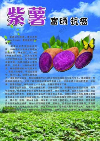 紫薯酥图片