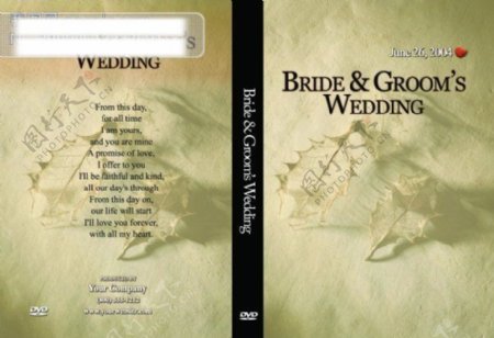 婚纱PSD背景DVD封面
