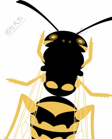 印花矢量图动物蜜蜂苍蝇色彩免费素材