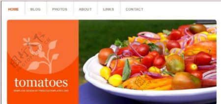 橙色番茄主题信息网页模板