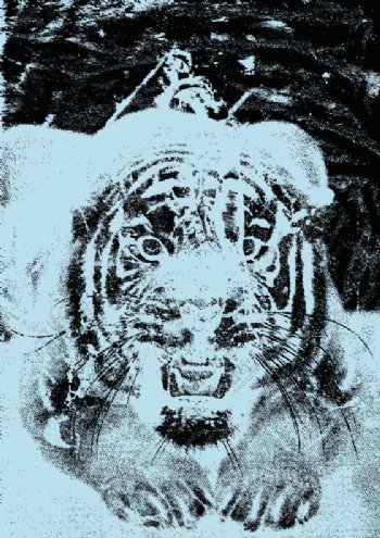 位图T恤图案动物野生动物老虎免费素材