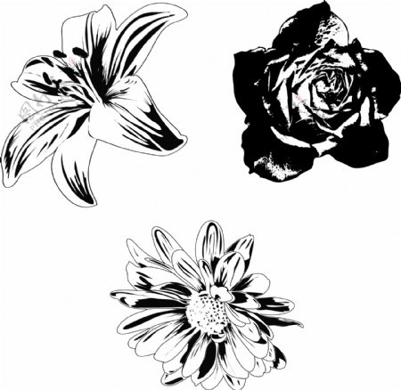 黑色和白色的花朵矢量素材
