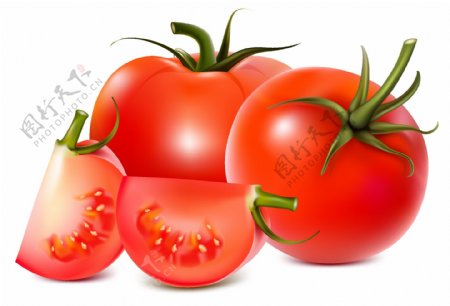 矢量新鲜西红柿图片