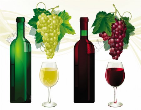 眼镜和白色和红葡萄酒的葡萄酒瓶在白色的矢量插图