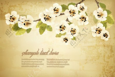 春天的白色花朵老式的背景01