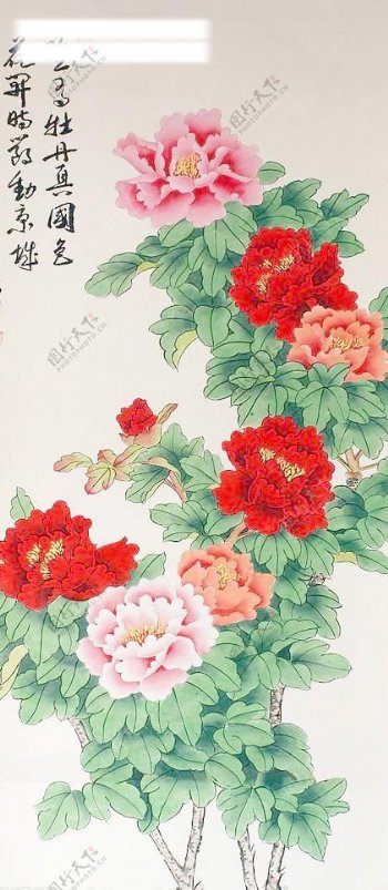 唯有牡丹真国色花开时节动京城图片