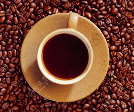 磨好的咖啡与咖啡豆