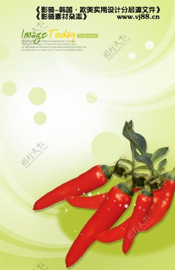 辣椒新鲜健康营养蔬菜影骑韩国实用设计分层源文件PSD源文件