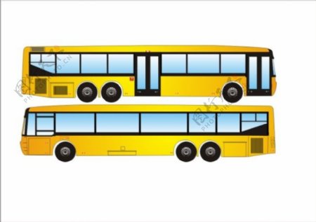 黄色公交车