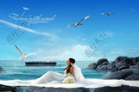 蓝色海洋油轮海鸥主题婚纱模板