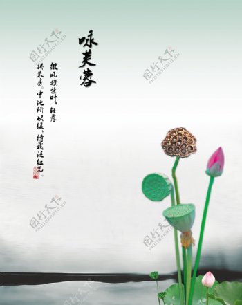 歌咏芙蓉