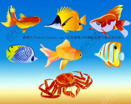 海洋鱼类与螃蟹矢量图